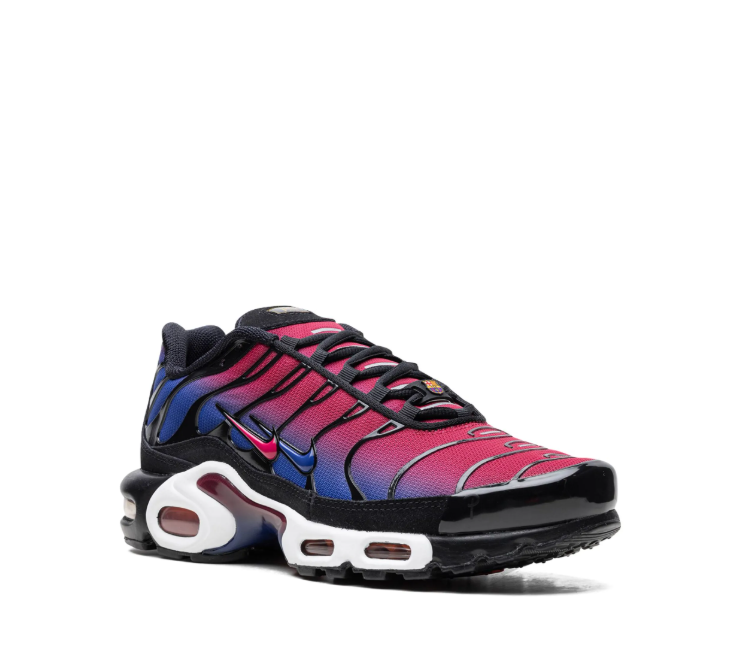 Nike Air Max Plus x Patta