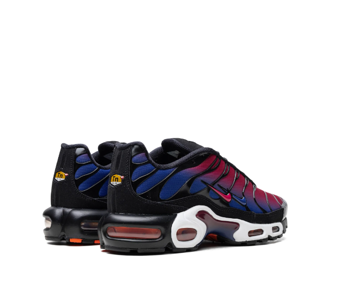 Nike Air Max Plus x Patta